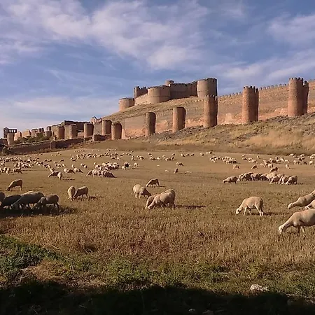 Alta Yuberia Berlanga de Duero