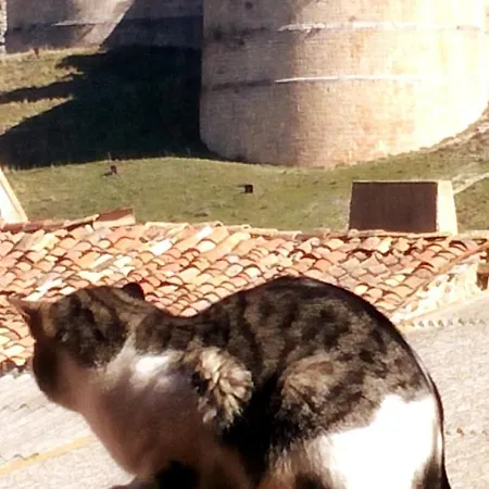 Alta Yuberia Berlanga de Duero