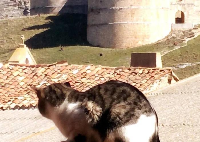 Alta Yuberia بيرلانغا دي دويرو